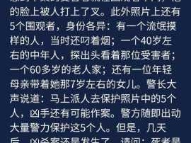 揭秘Crimaster白色死神案件，犯罪大师手段惊人真相曝光