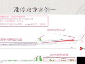 如何掌握双龙戏珠1v2躺平鱼玩法，提升游戏力