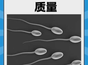 男性生殖健康：如何保持其正常功能与活力？