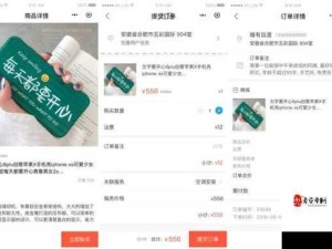 黄9·1安装问题解决指南：中文汉字版正确安装与使用教程