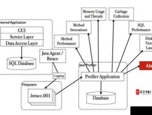 野外环境下Windows系统MGDRCC工具的高效应用：优化网络诊断与配置技巧