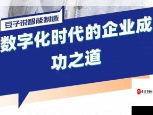 精准数据分析驱动下的商业模式创新：探索多元化盈利策略的成功之道