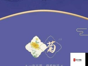 竹菊视频软件如何满足不同用户创作需求？