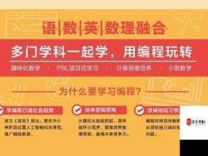 斗罗大陆大交斗的少儿编程学习分哪几个阶段？