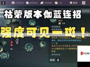 一梦江湖伽蓝职业养成指南，解锁装备特技与心法深层奥秘