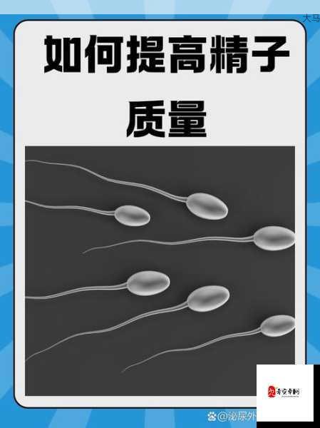 男性生殖健康：如何保持其正常功能与活力？