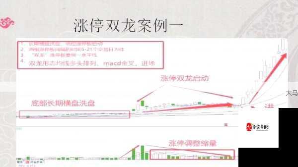 如何掌握双龙戏珠1v2躺平鱼玩法，提升游戏力